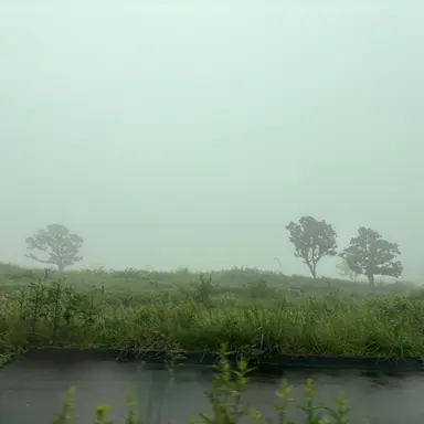 Profile image of よろよろ街