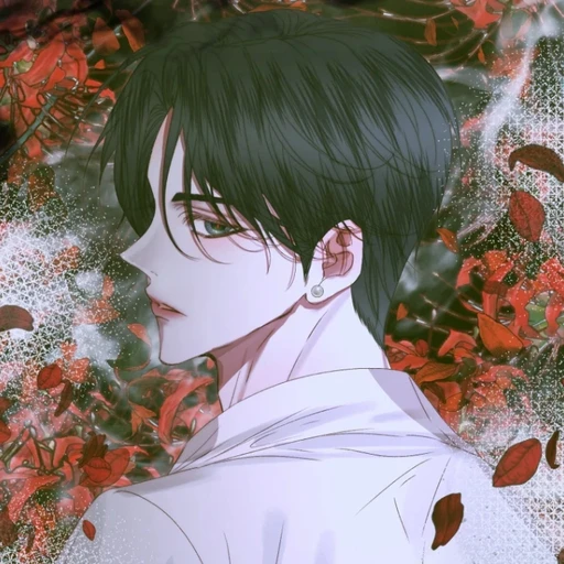로이드