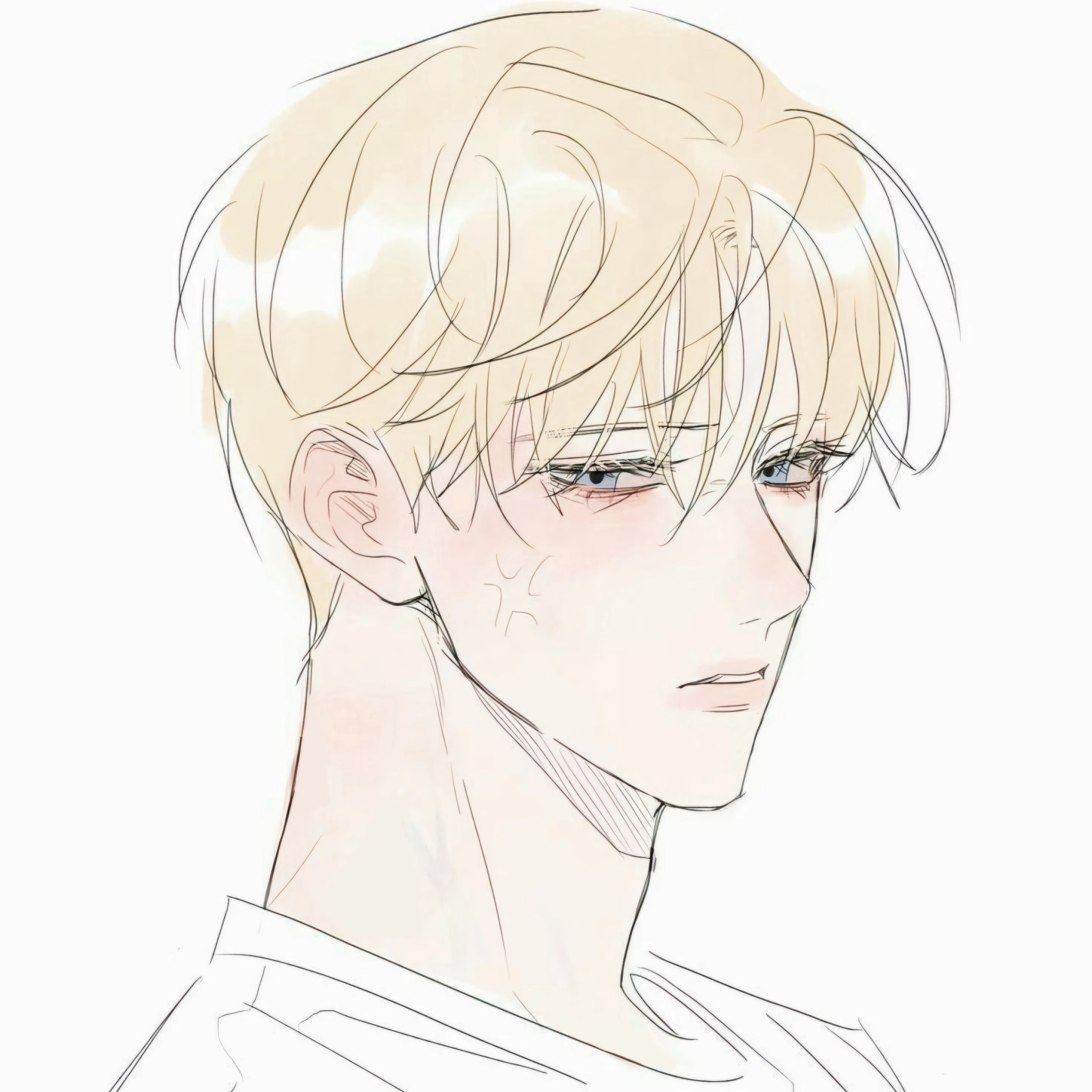 크리스 헤이든