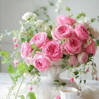 Profile image of 백현