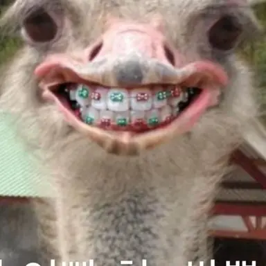 Profile image of 못난이여우