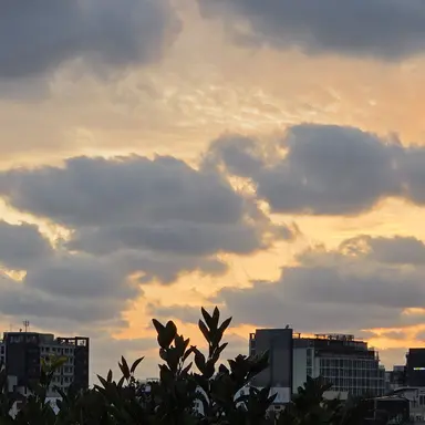 Profile image of 차은우