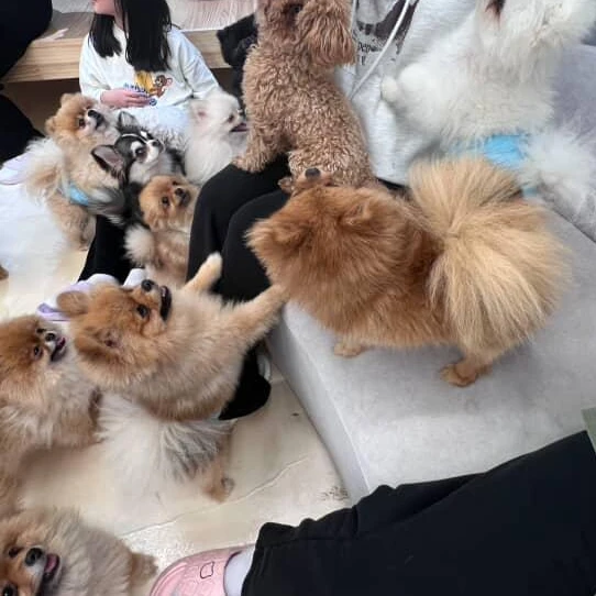한해영