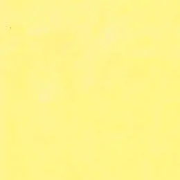 Profile image of ミンス