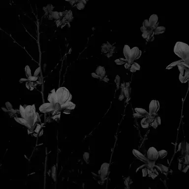 Profile image of 우융