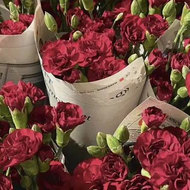 Profile image of 플래그