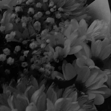 Profile image of 우융