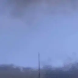 Profile image of 서라더