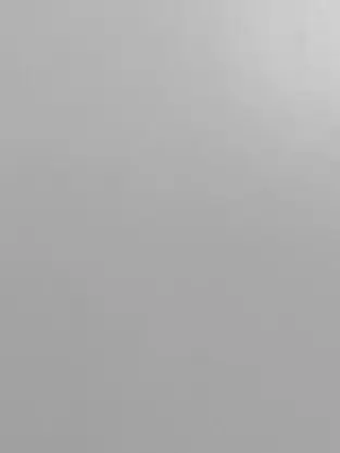 mofy의 장미의 꽃말