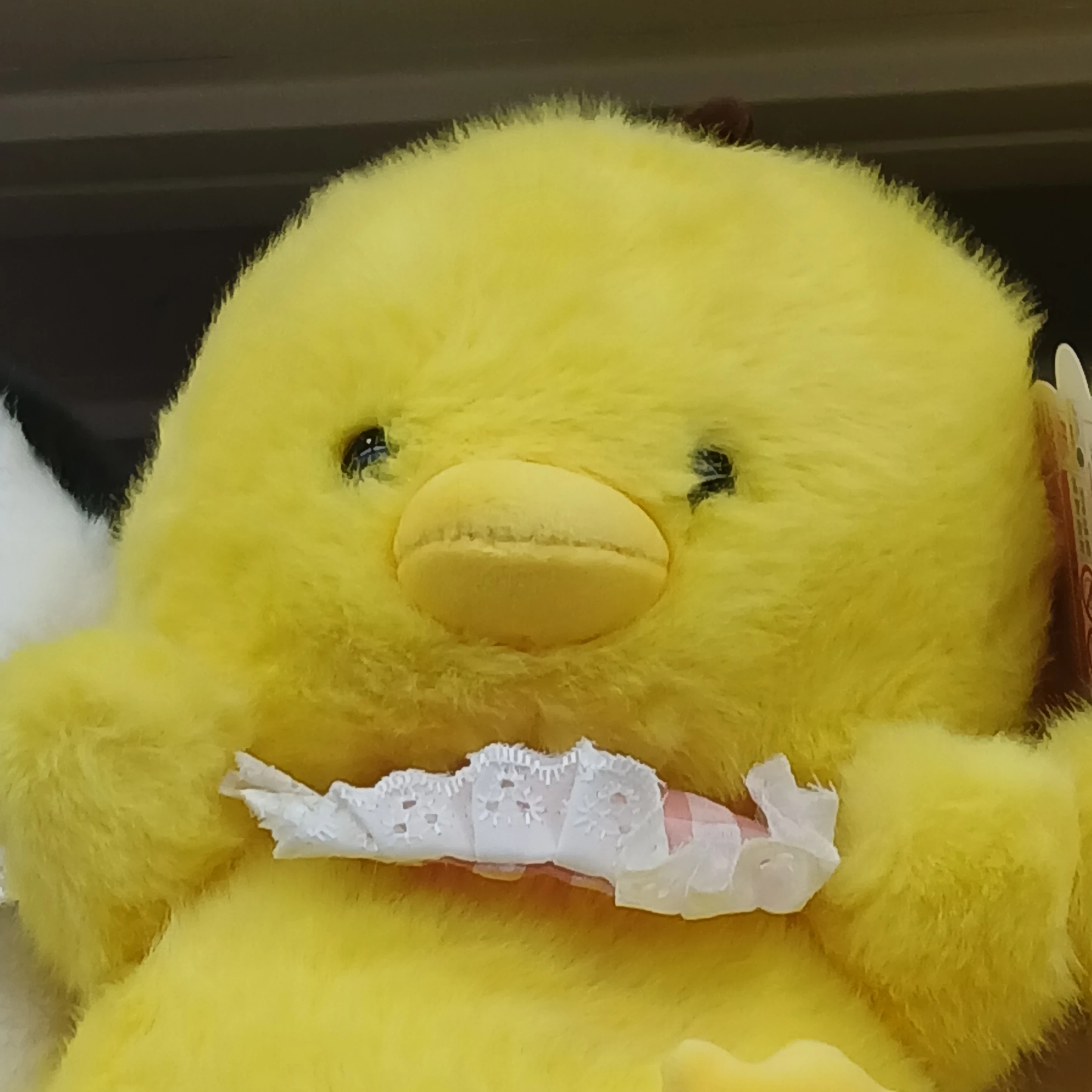 이민호