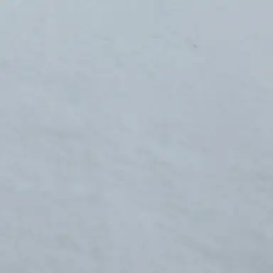 Profile image of ロマーナ