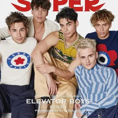 Profile image of The elevator boys
