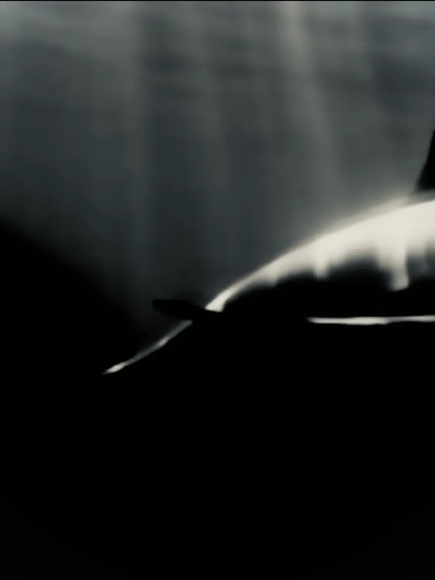 NICKNAME7552의 白想