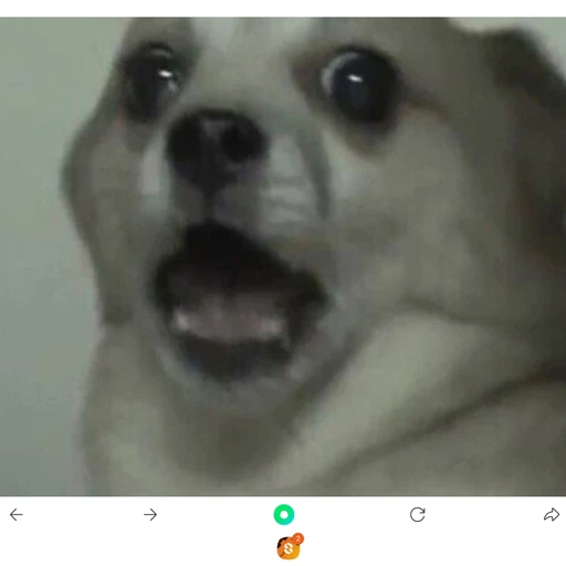 웡개