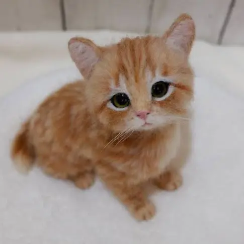 nyannyan24z의 🐱
