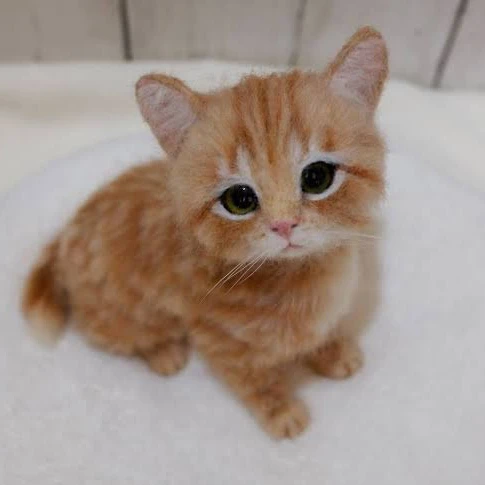 きなこ