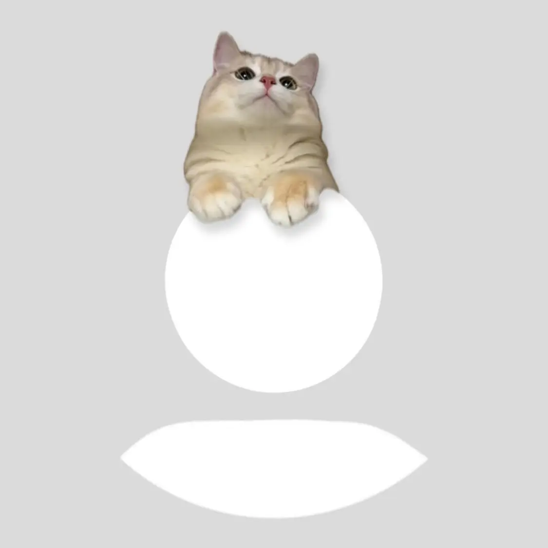 Hanascute의 익명인