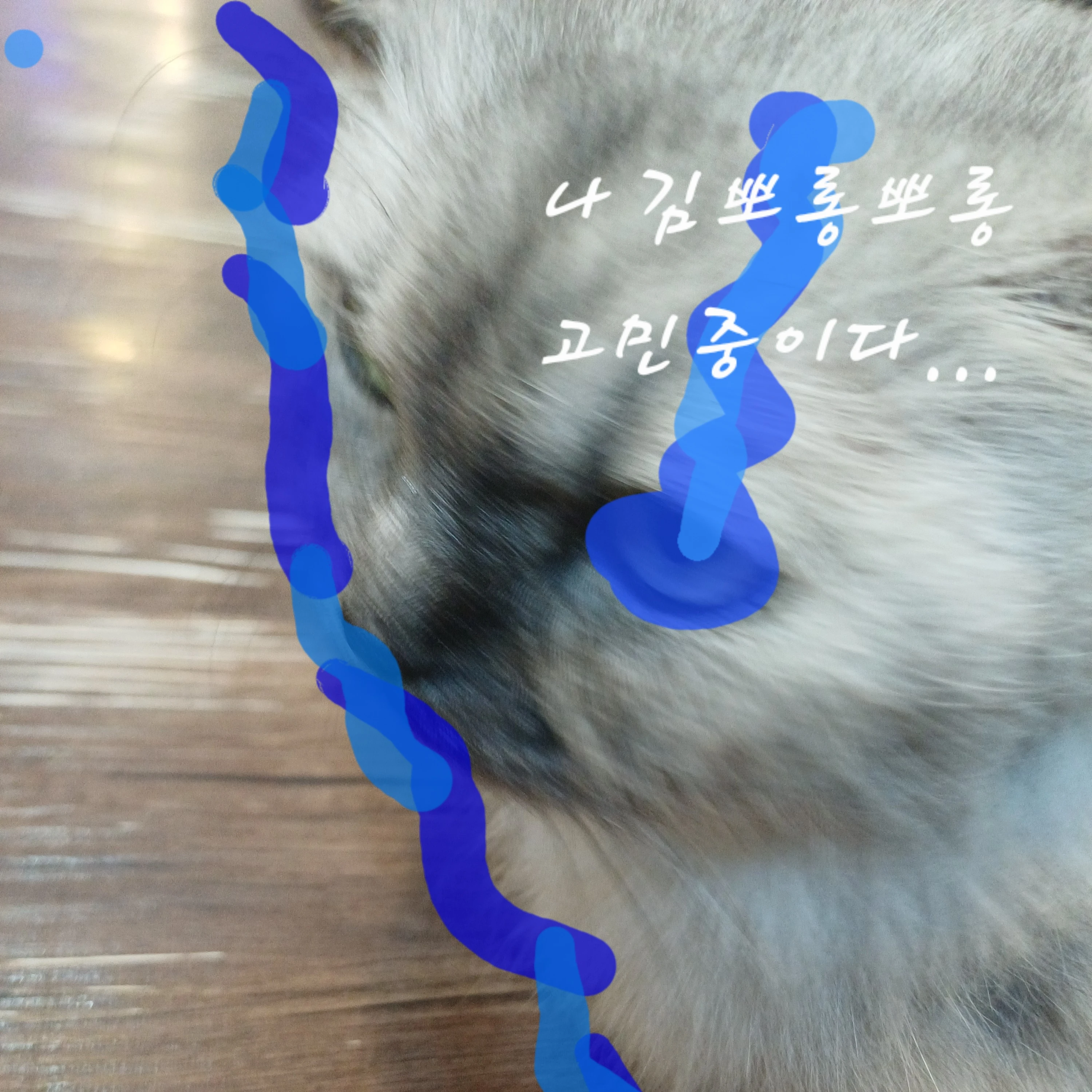 김뽀롱