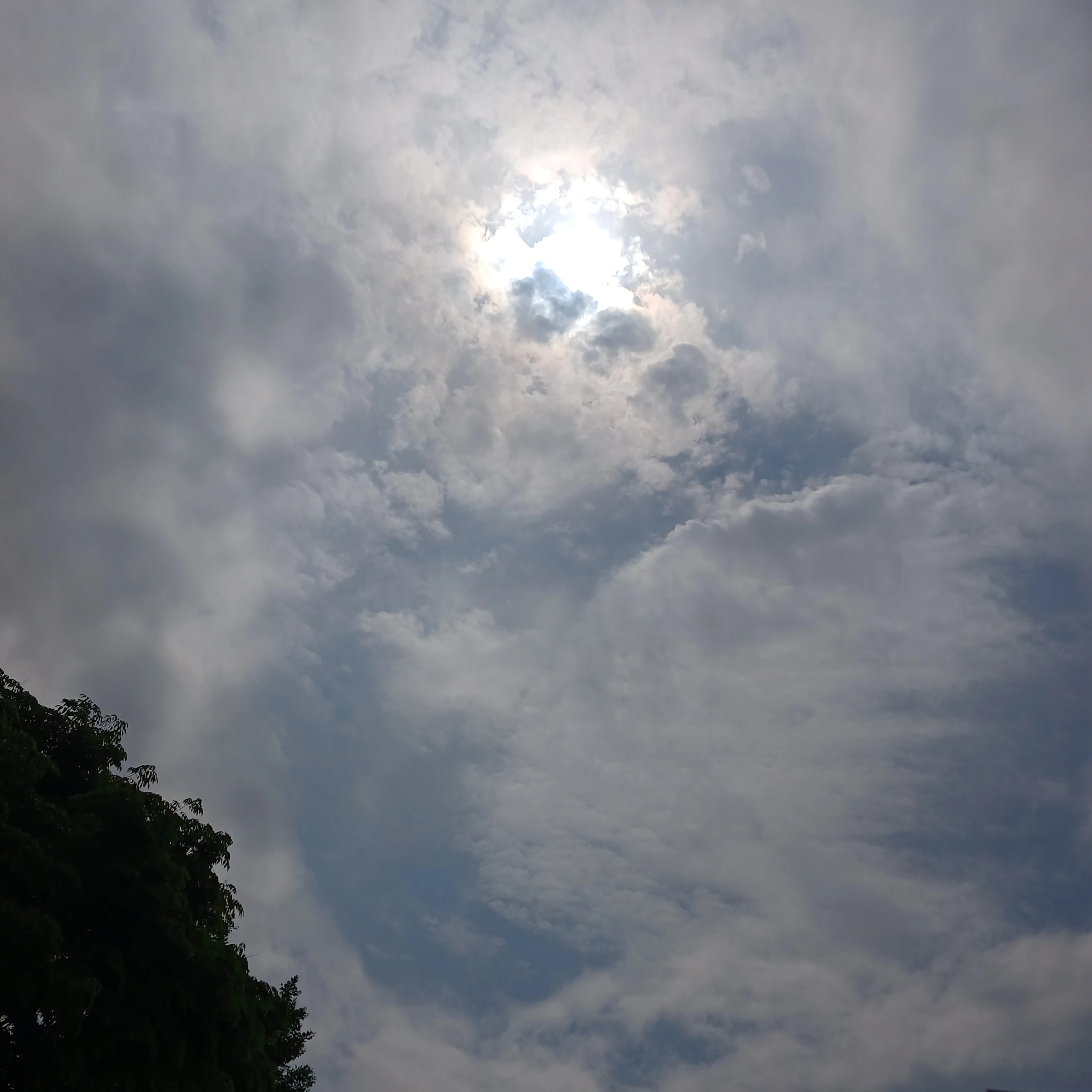 잭