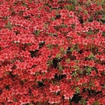 Profile image of 기자