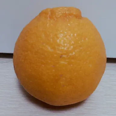 Profile image of 엘리엇