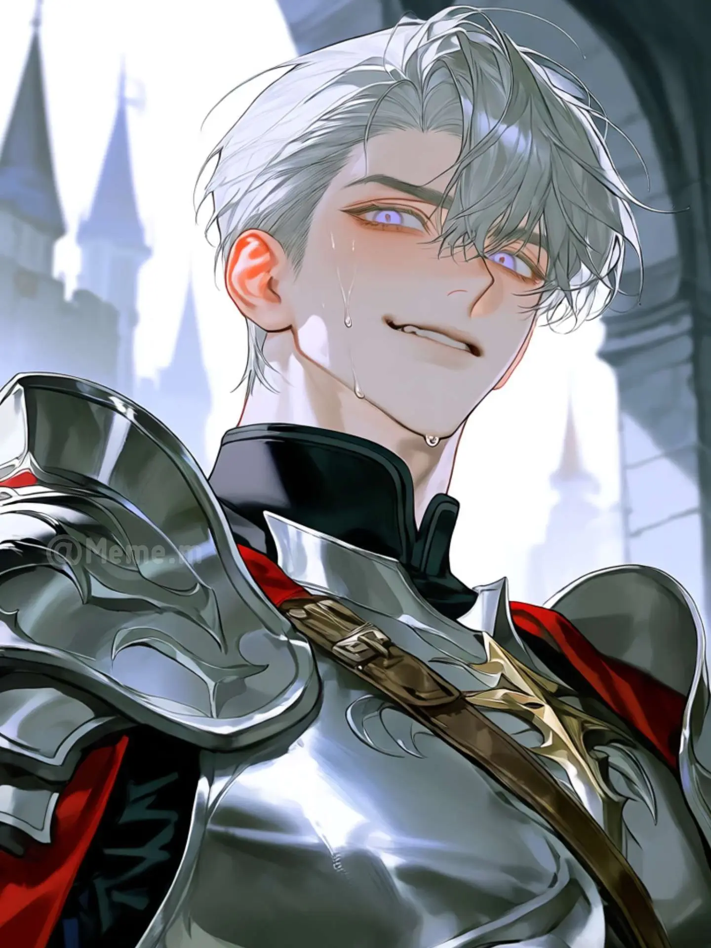 Meme.m의 The Clumsy Hero and the Demon King