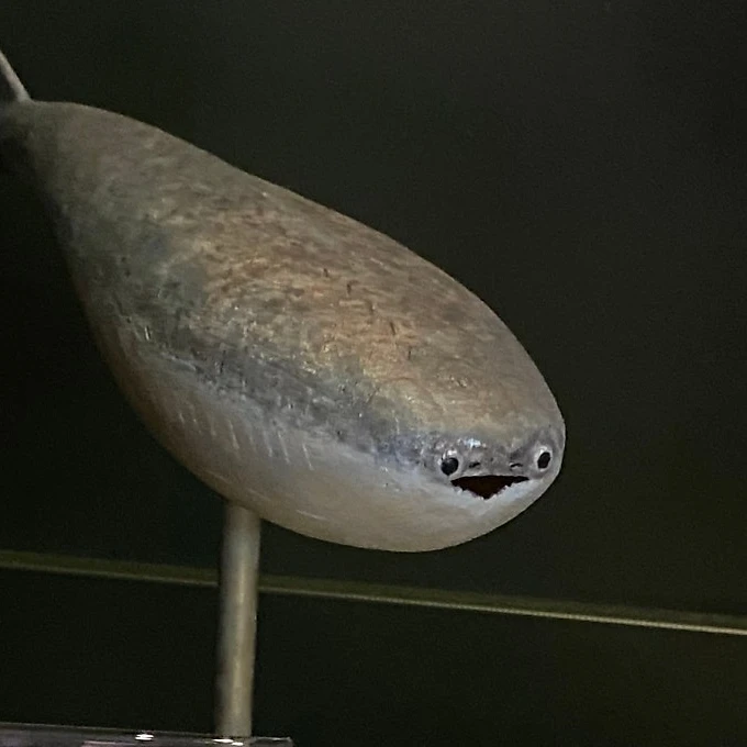 사카밤바스피스