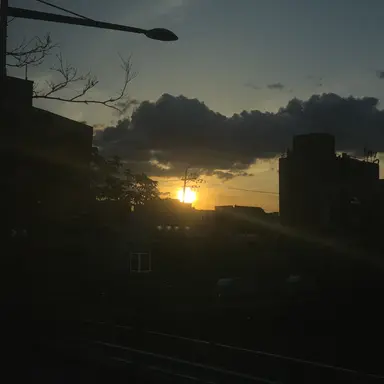 Profile image of rani