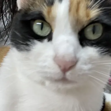 Profile image of 은실이