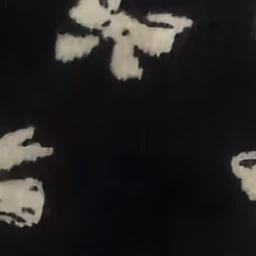 深澤辰哉