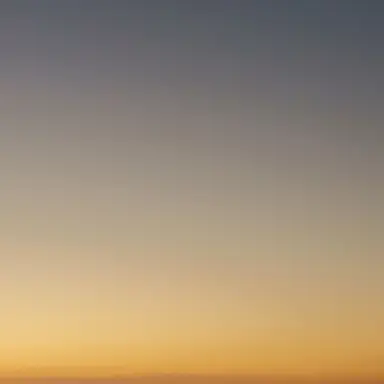 Profile image of 여우와 친구들