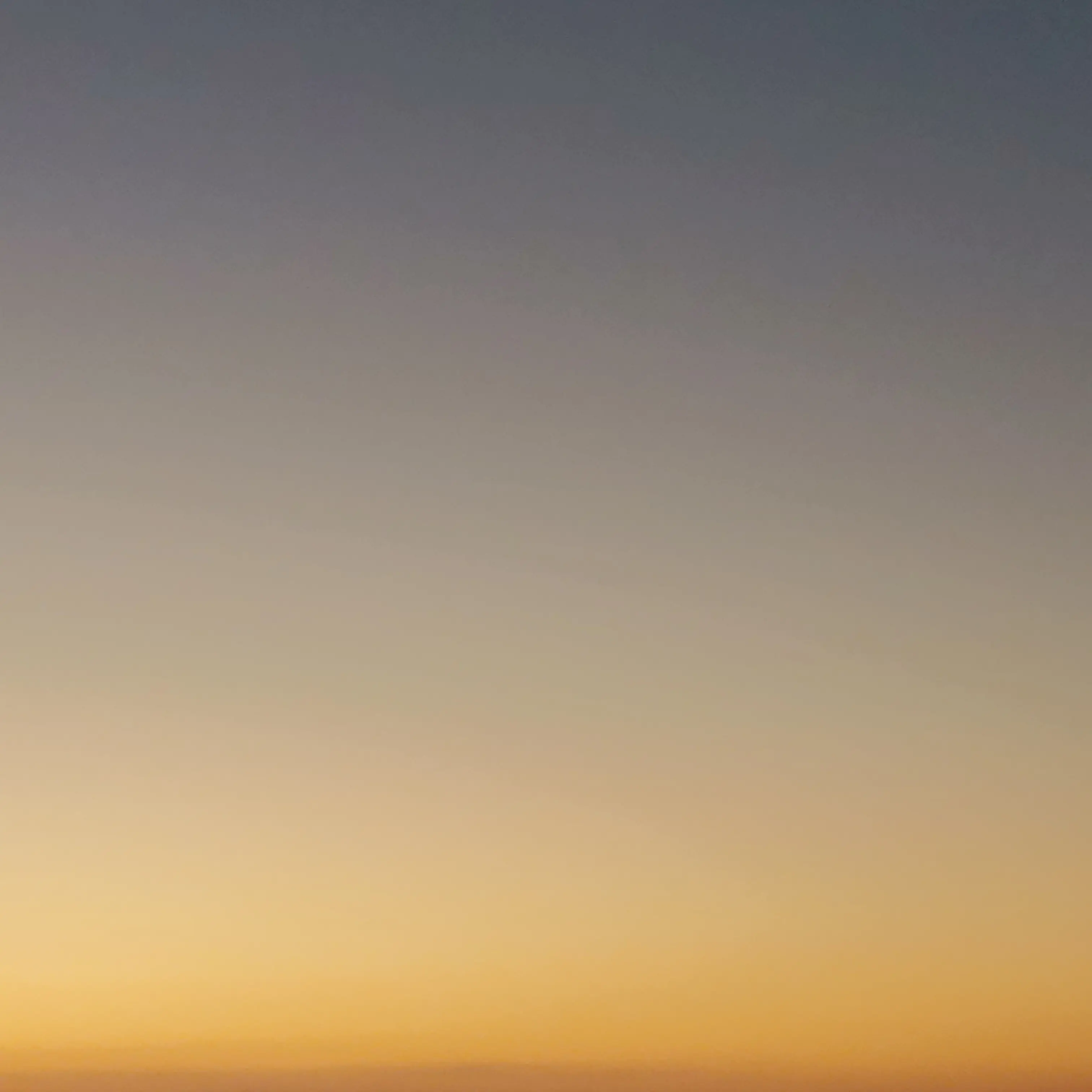 689123의 스프런키 여우가 남자애들한테 꼬리친다