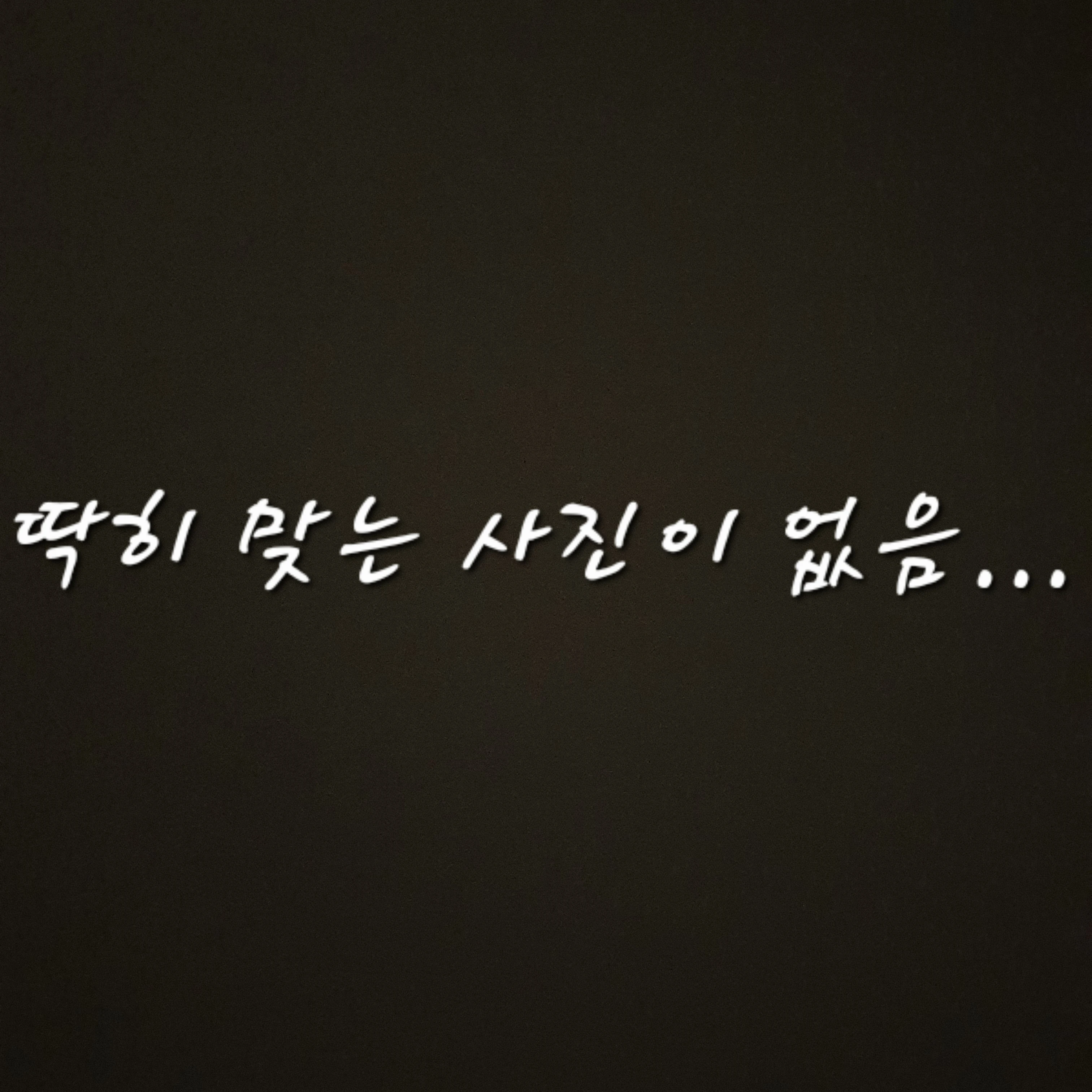 해설사