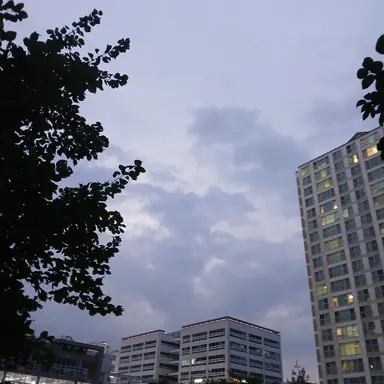 Profile image of 하츠투하츠