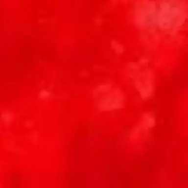 Profile image of 大森 元貴