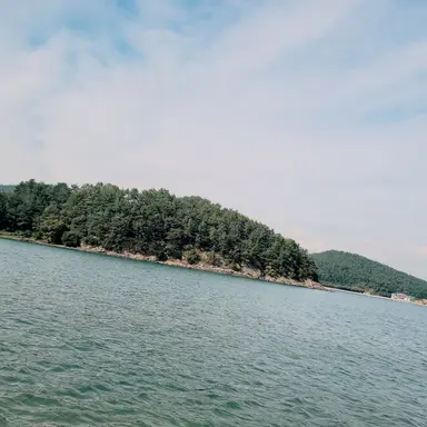 Profile image of 한동민