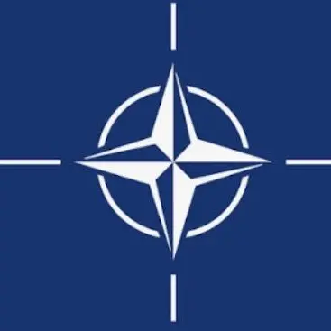 Profile image of NATO