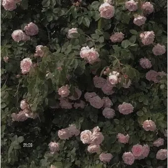 Profile image of 이용복