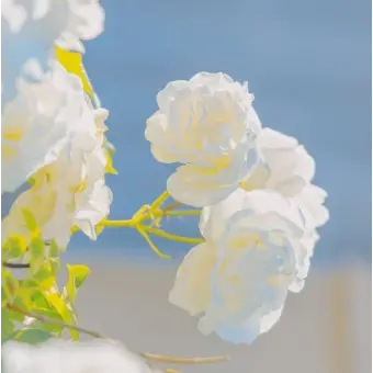 Profile image of 황현진