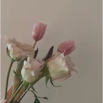 Profile image of 이유나