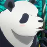 Profile image of Panda