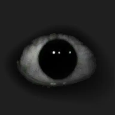 Profile image of J_rd