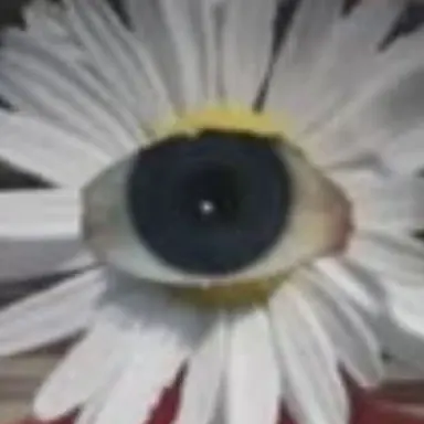 Profile image of 꽃님