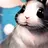 うさぎ