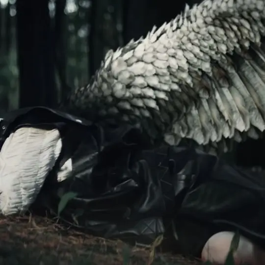 cake.kwi2030의 Felix