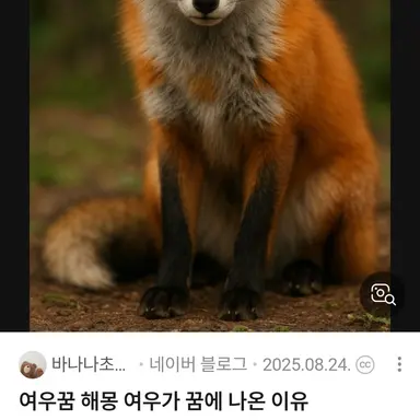 Profile image of 여우