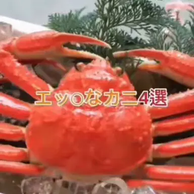Profile image of エッﾁなカニ