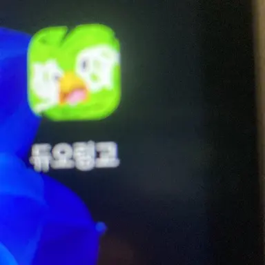 Profile image of 여우년