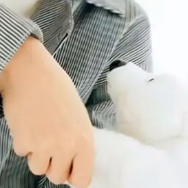 Profile image of 高橋 恭平