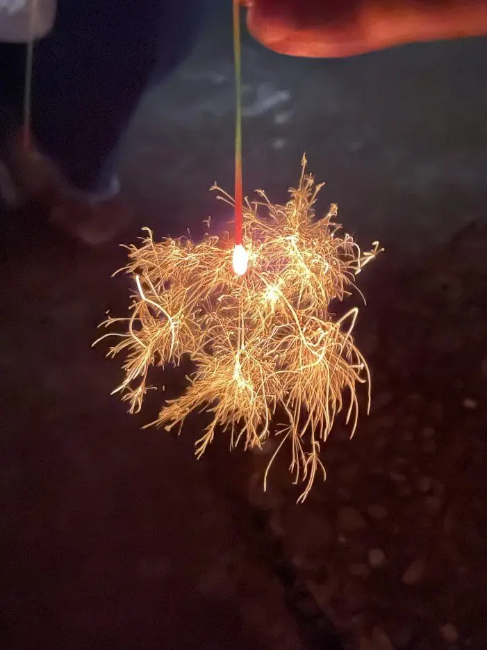 LovelyLargo4766의 お祭り＿。🏮